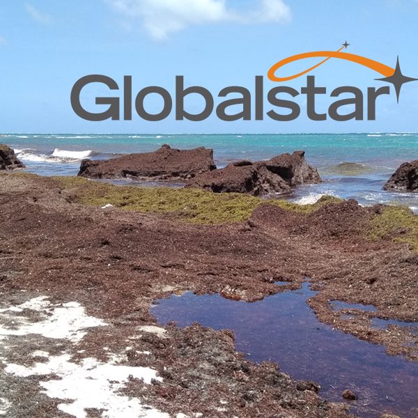 img-SpotTrace-Sargasse