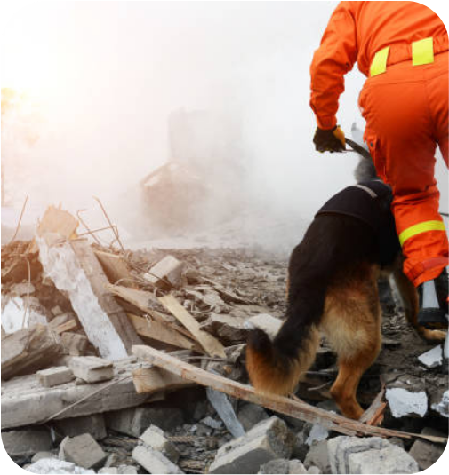 Urgente location satellite